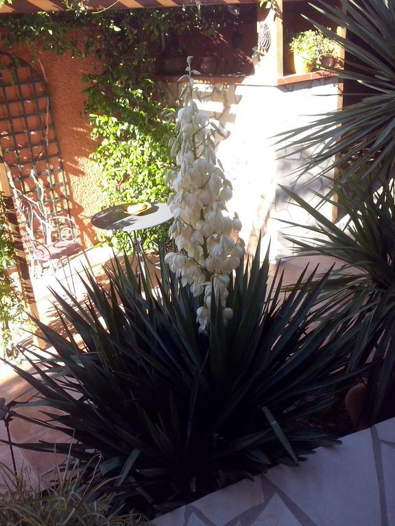 La Gentoliere Bed & Breakfast Pollestres ภายนอก รูปภาพ